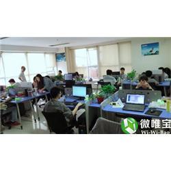 漳州APP与软件开发 专业定制服务的选择指南